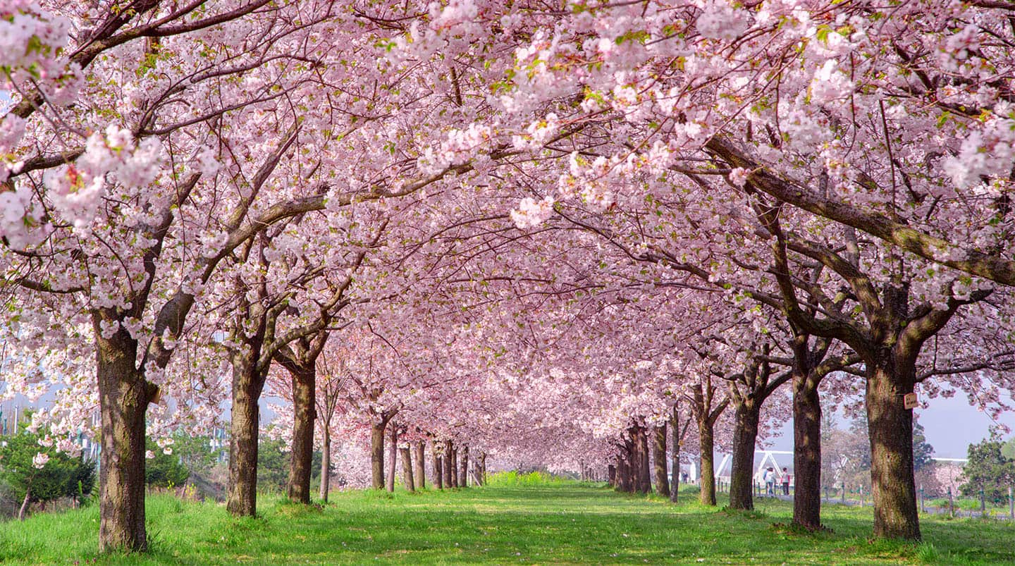 Hakodate, Japan
