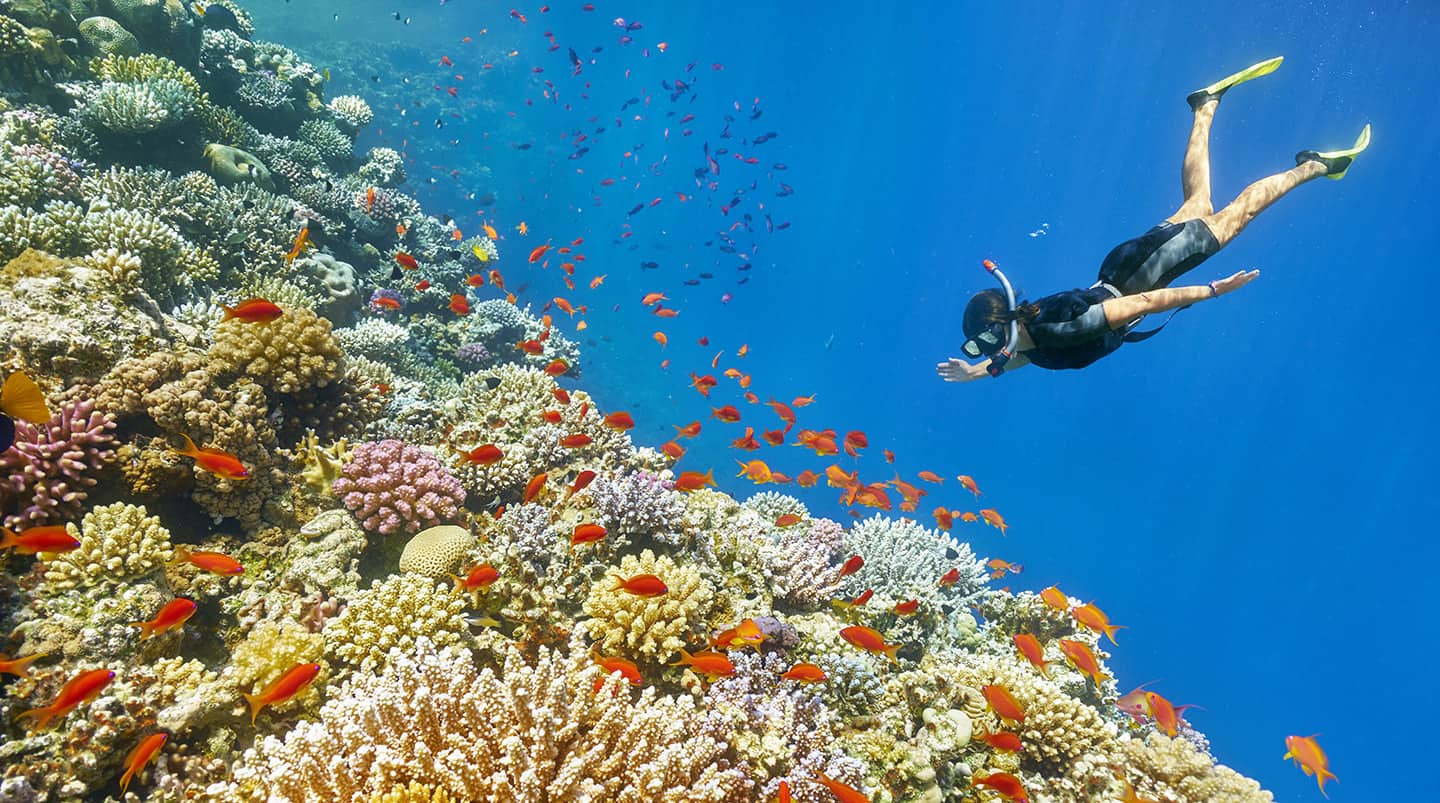 Snorkeling in the Bahamas