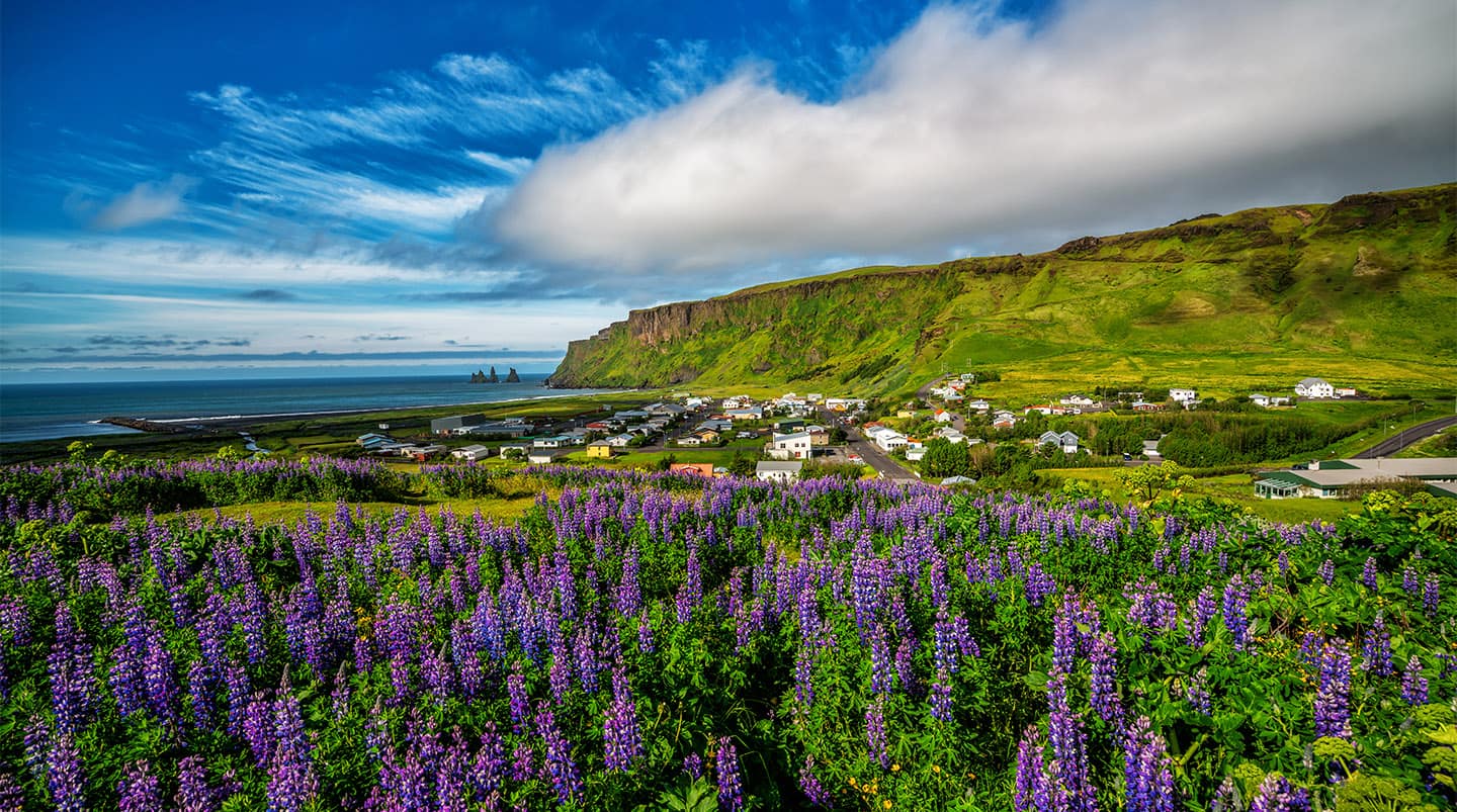 Reykjavik Cruisetour