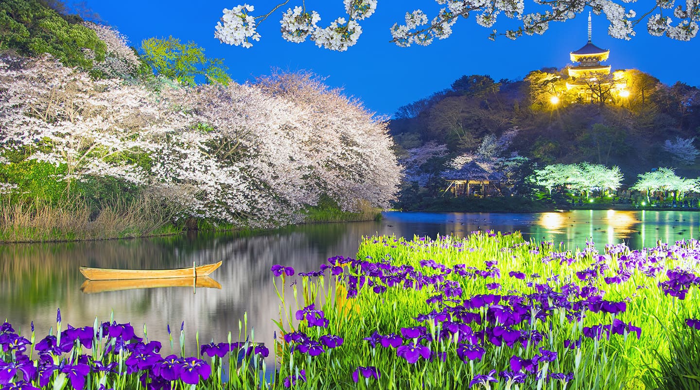 Tokyo, Japan 