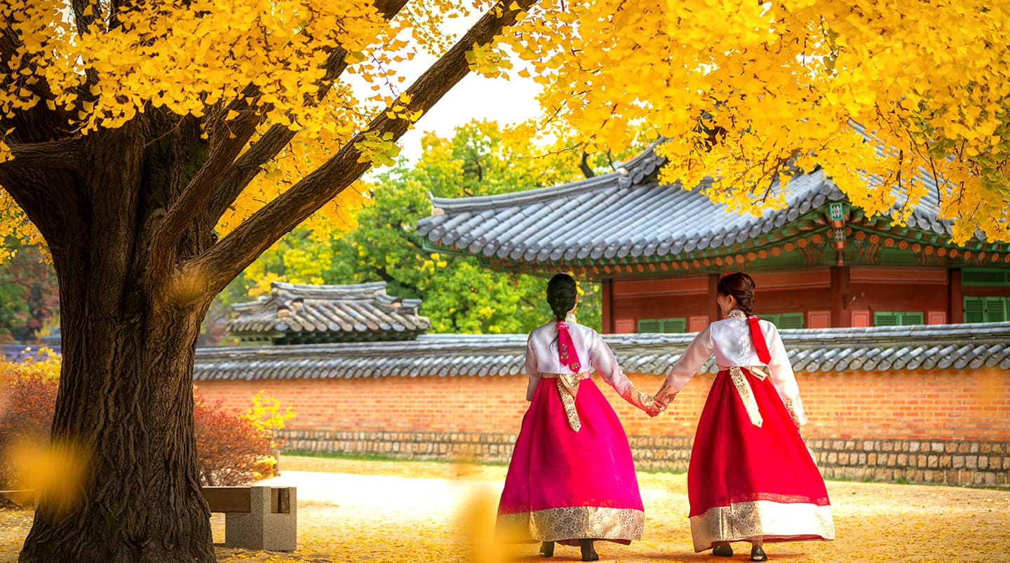 Autumn Garden