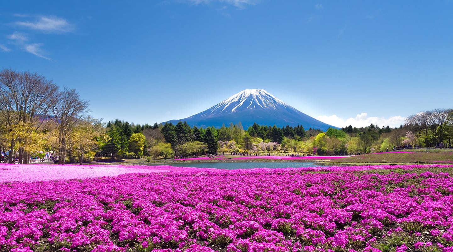 Mount Fuji, Japan