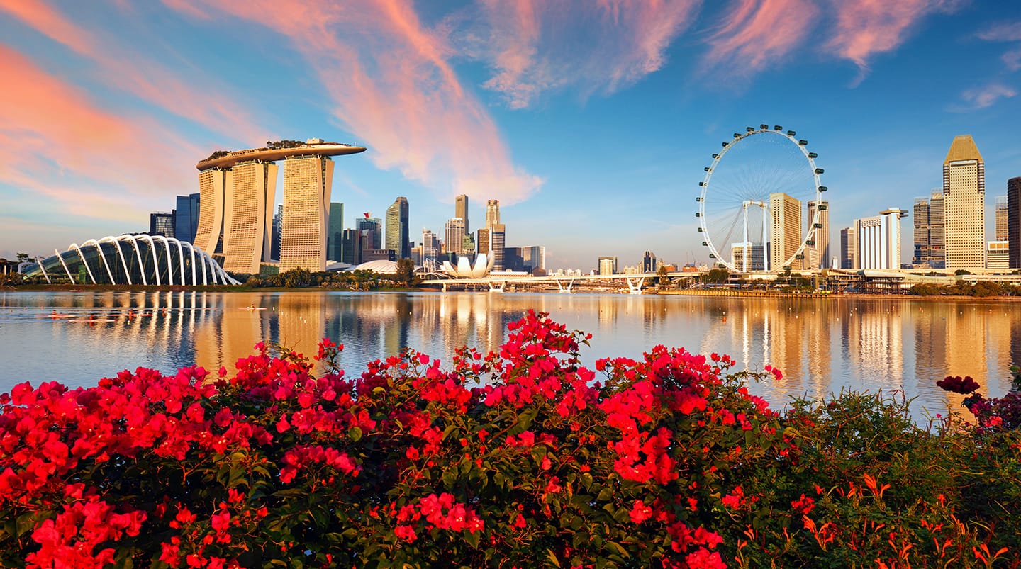 Singapore Cruisetour