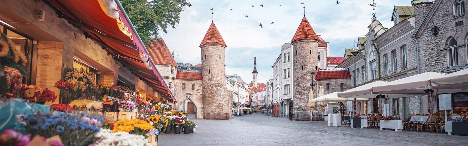 El Báltico: Alemania, Suecia, Finlandia y Estonia