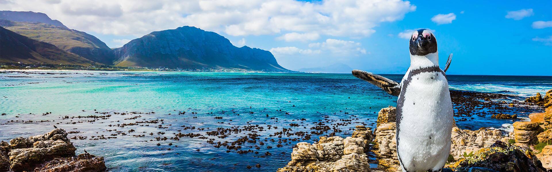 Paquete terrestre a Ciudad del Cabo