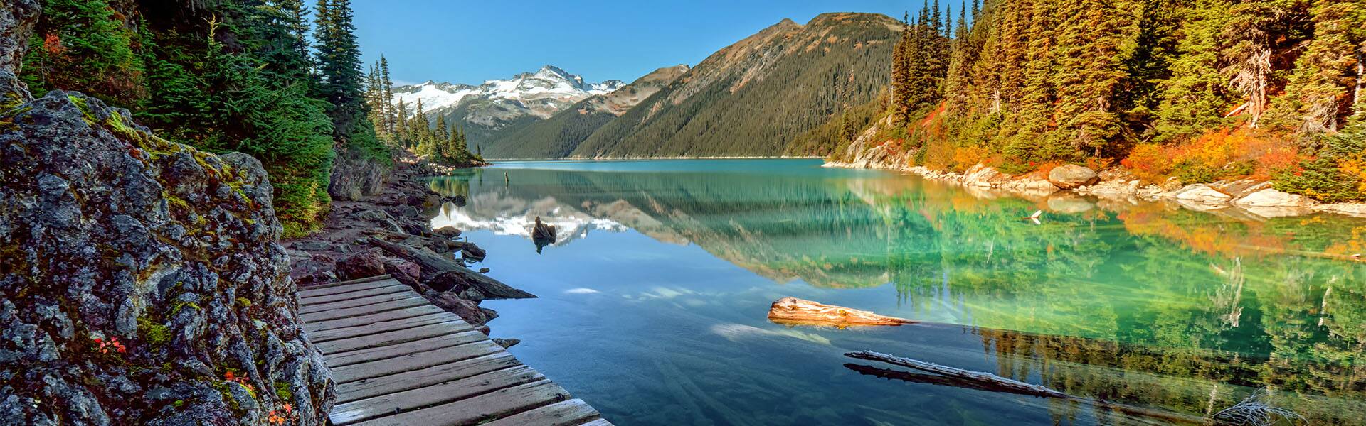 Paquete terrestre hacia el sur por Denali/Alyeska