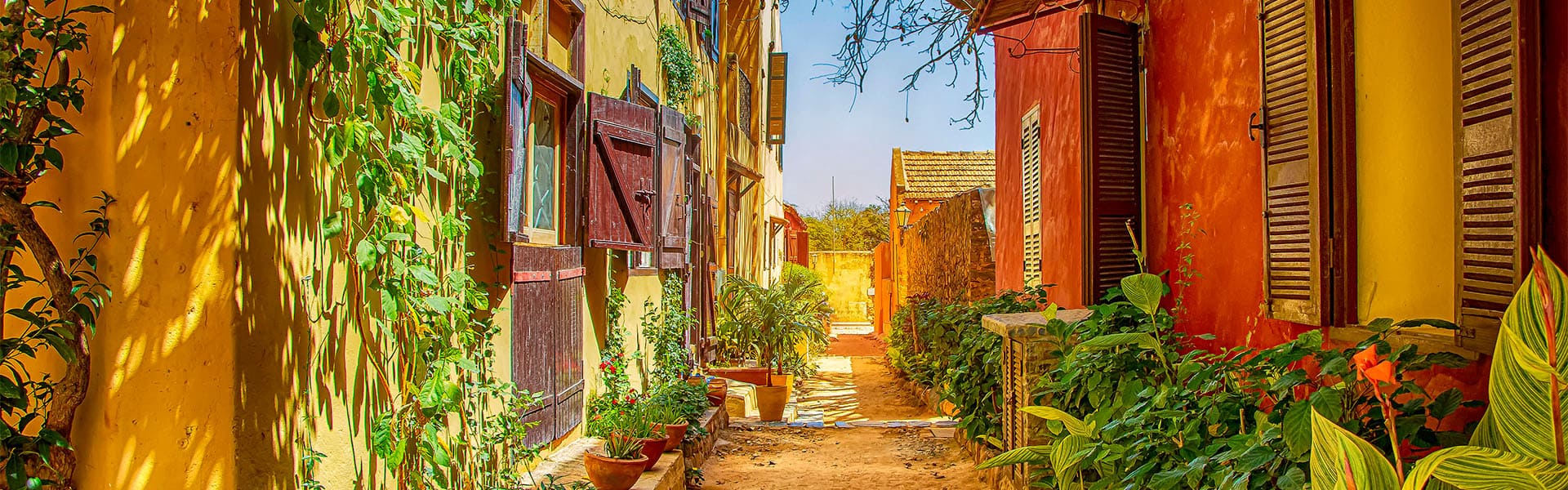 África: España, Islas Canarias y Namibia