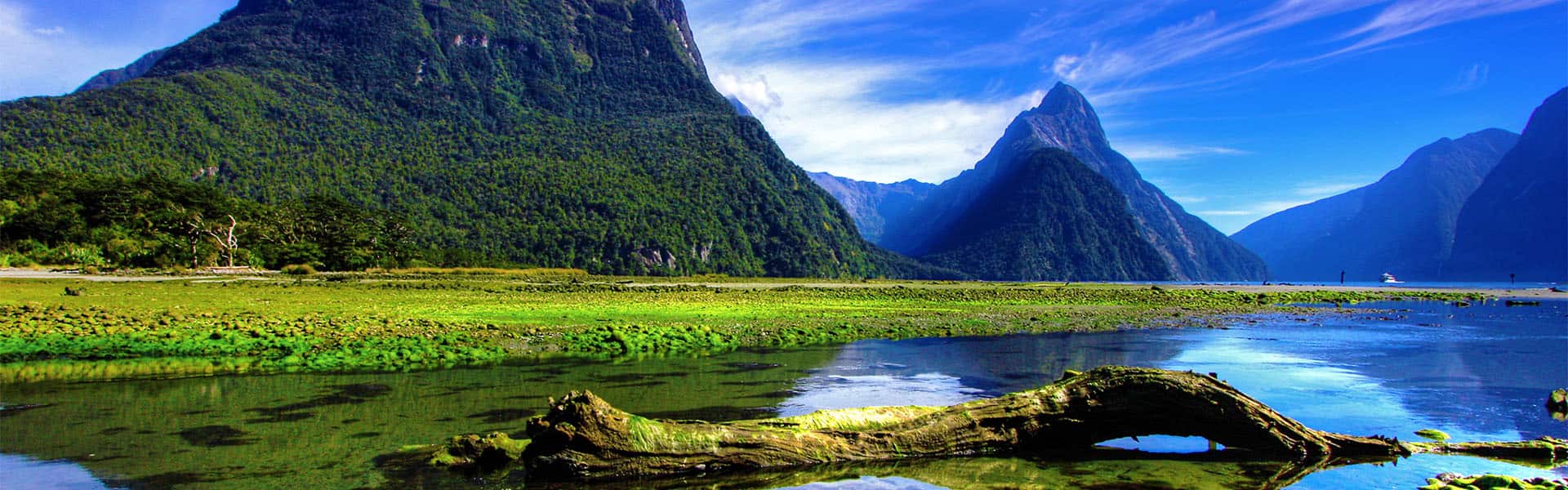 Australia y Nueva Zelanda: Melbourne, Milford Sound y Wellington