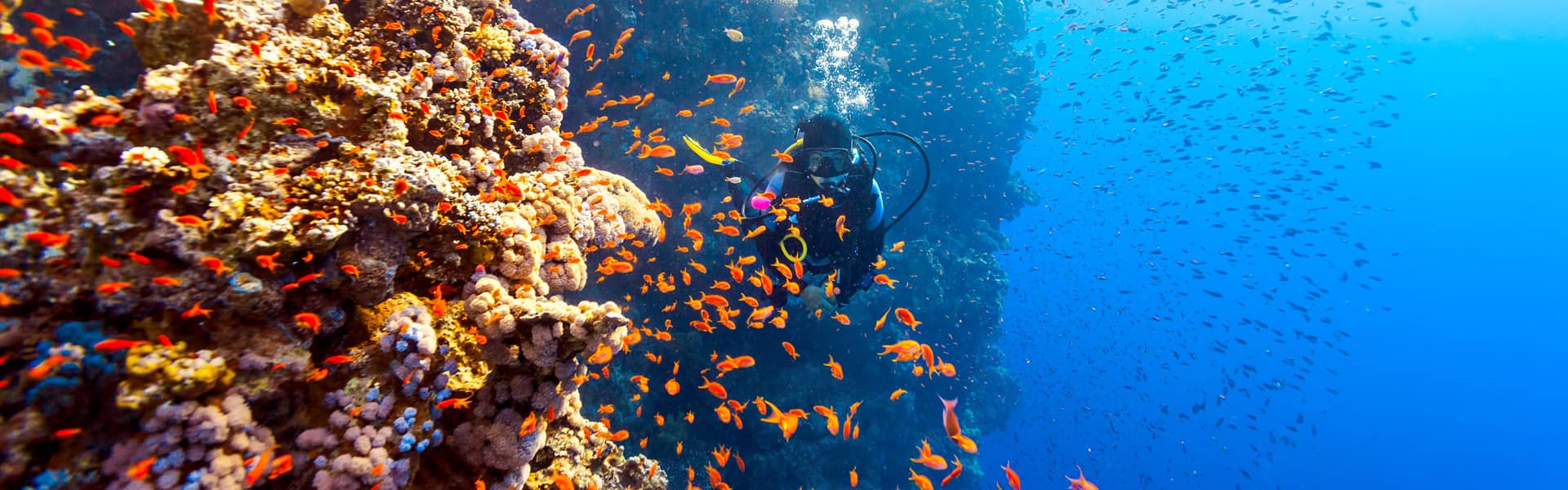 Canal de Panamá: México, Costa Rica y Belice