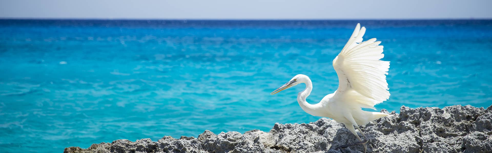 El Caribe: Cozumel y Great Stirrup Cay