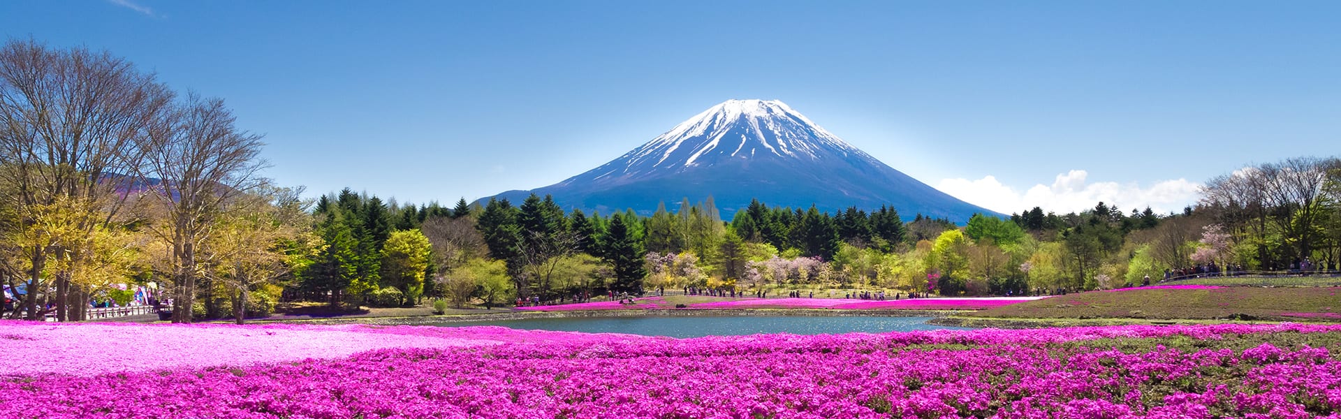 Japón: Osaka, Kochi, Nagoya y Busan