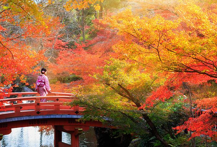 Vive el otoño en Japón
