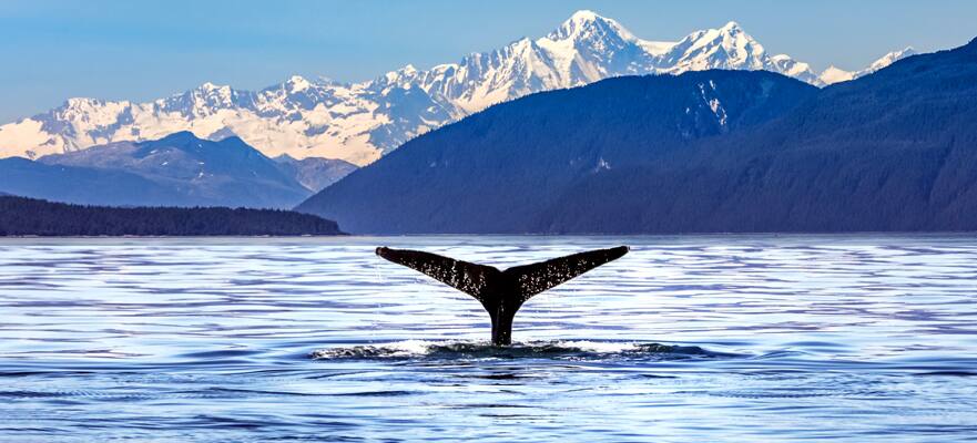 Asómbrate en Alaska: Bahía de los Glaciares y Pasaje Interior desde Seattle, 7 días Asómbrate en Alaska: Bahía de los Glaciares y Pasaje Interior desde Seattle, 7 días