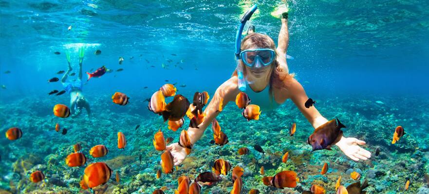 Bahamas desde Orlando (Puerto Cañaveral), 4 días Bahamas desde Orlando (Puerto Cañaveral), 4 días