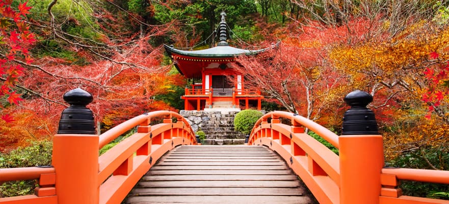 Asia: Japón a pleno en otoño desde Tokio, 13 días Asia: Japón a pleno en otoño desde Tokio, 13 días