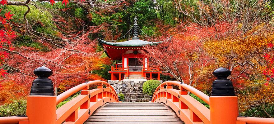 Asia: Japón a pleno en otoño desde Tokio, 13 días Asia: Japón a pleno en otoño desde Tokio, 13 días