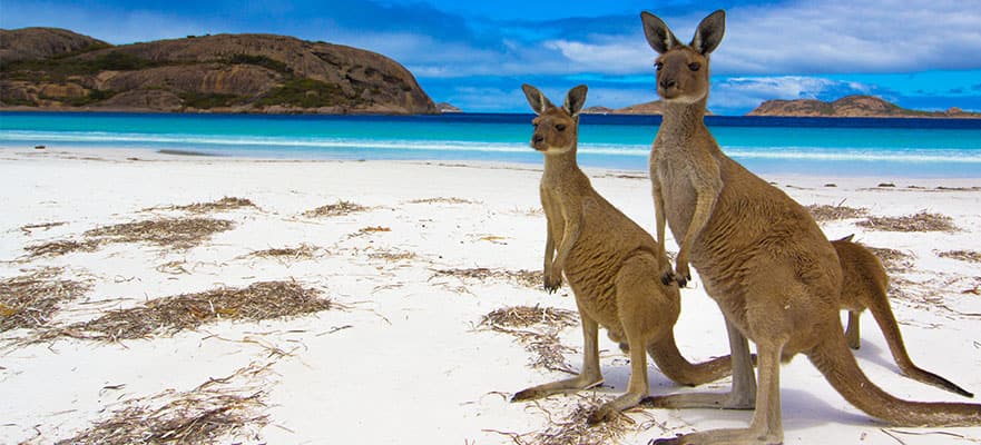De Singapur a Sídney: Australia e Indonesia, 19 días