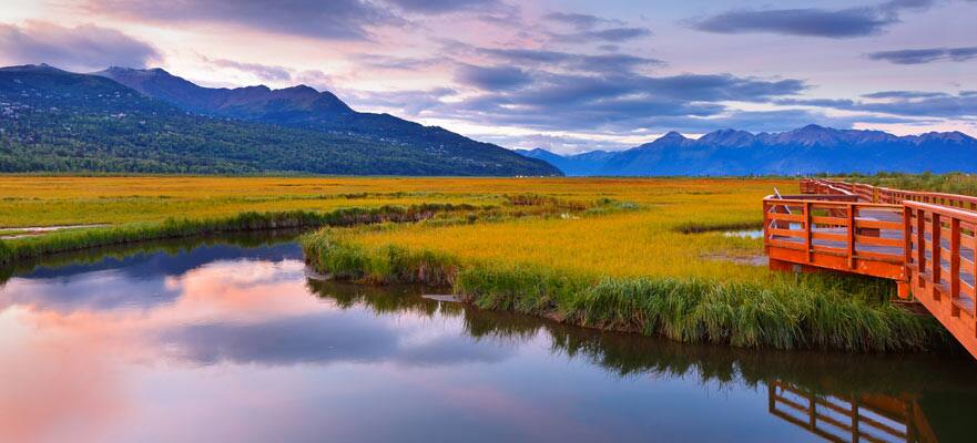 /sites/default/files/881x40-AK-Anchorage-WildernessBridge.jpg