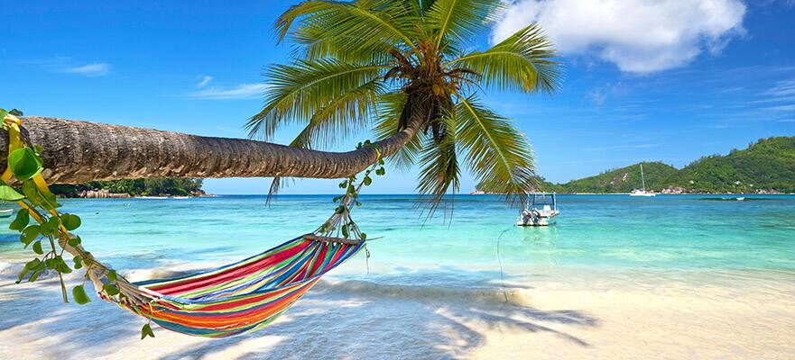 Expedición exótica: Seychelles, Madagascar y Sudáfrica desde Dubái, 20 días Expedición exótica: Seychelles, Madagascar y Sudáfrica desde Dubái, 20 días