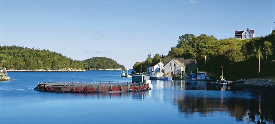 Canadá y Nueva Inglaterra desde Quebec, 7 días Canadá y Nueva Inglaterra desde Quebec, 7 días
