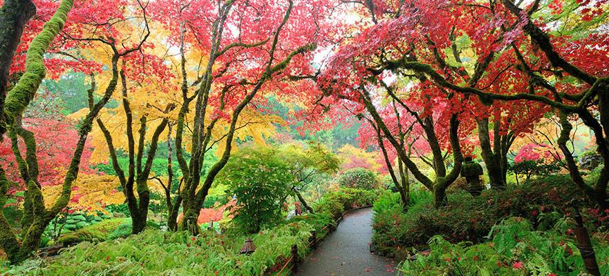Encantos de la Costa del Pacífico desde Vancouver, 5 días Encantos de la Costa del Pacífico desde Vancouver, 5 días
