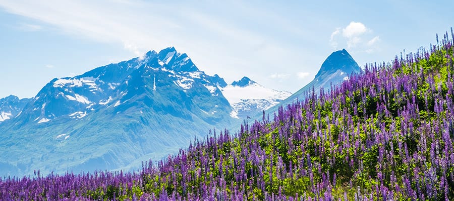 Deléitate con los paisajes más pintorescos en cada rincón de Valdez.