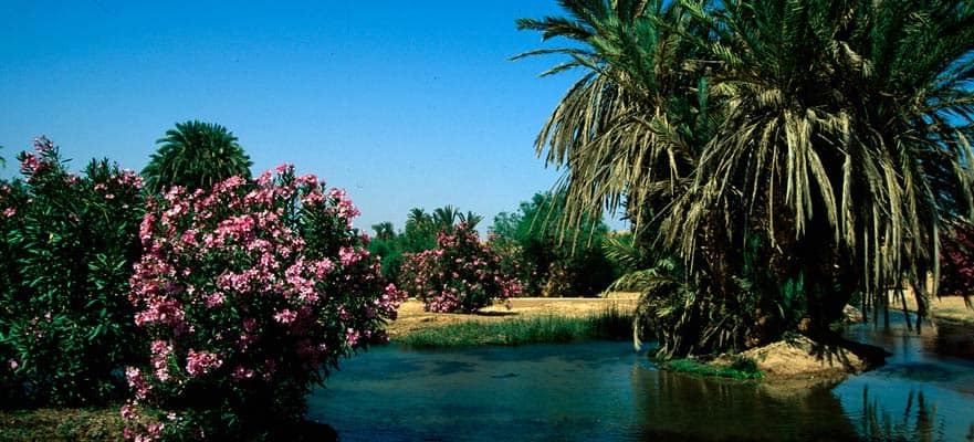 /sites/default/files/AGA_01_BerberOasis.jpg
