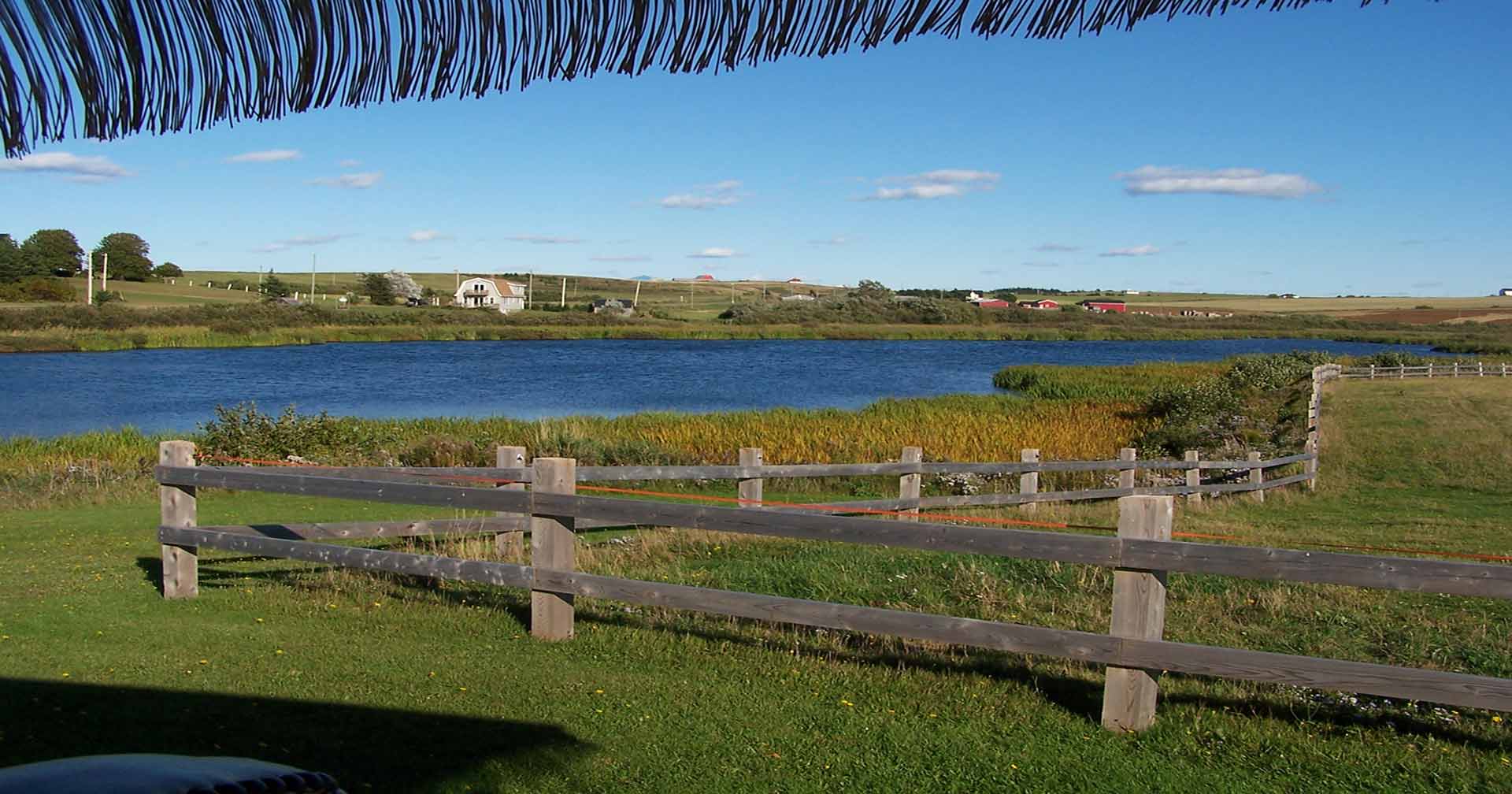 La mejor experiencia estilo Anne of Green Gables