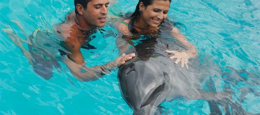 Nada con delfines en tu crucero a la Riviera Mexicana