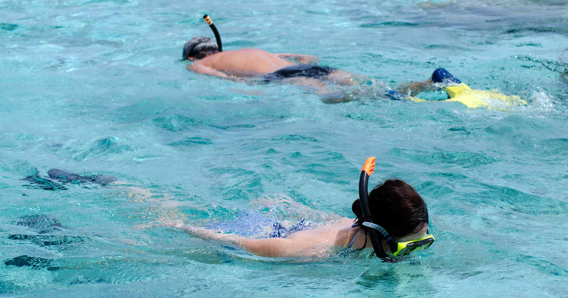 Buceo de superficie en Bahía Chileno