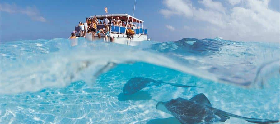 Banco de arena Stingray City en tu crucero a Georgetown