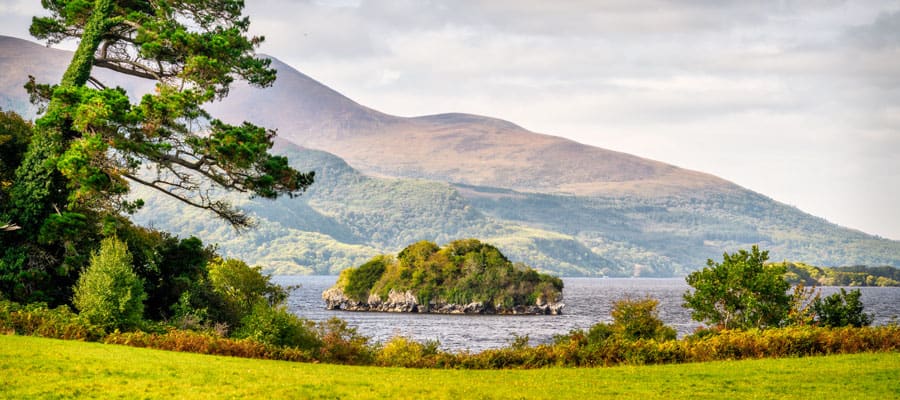 Disfruta del paisaje y explora las ruinas en Muckross Park.