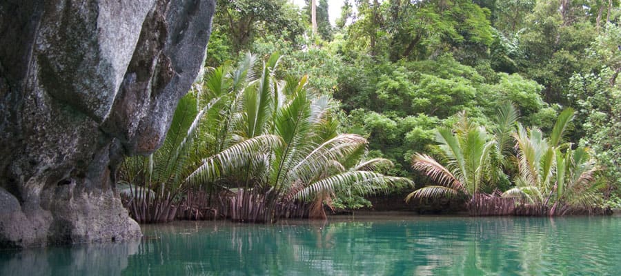 Aventura por la selva en Palawan.