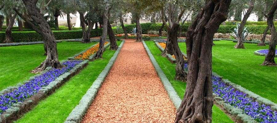 Jardín de olivos del templo Baha'i en Haifa