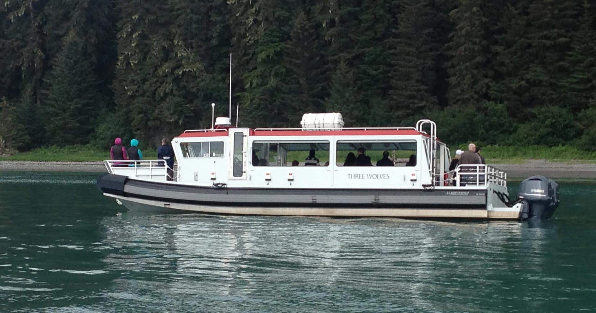 Avistamiento de ballenas y festín de mariscos