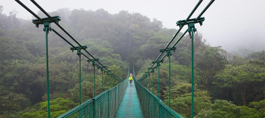 Camina por el puente colgante de Monteverde en tu crucero por el Canal de Panamá