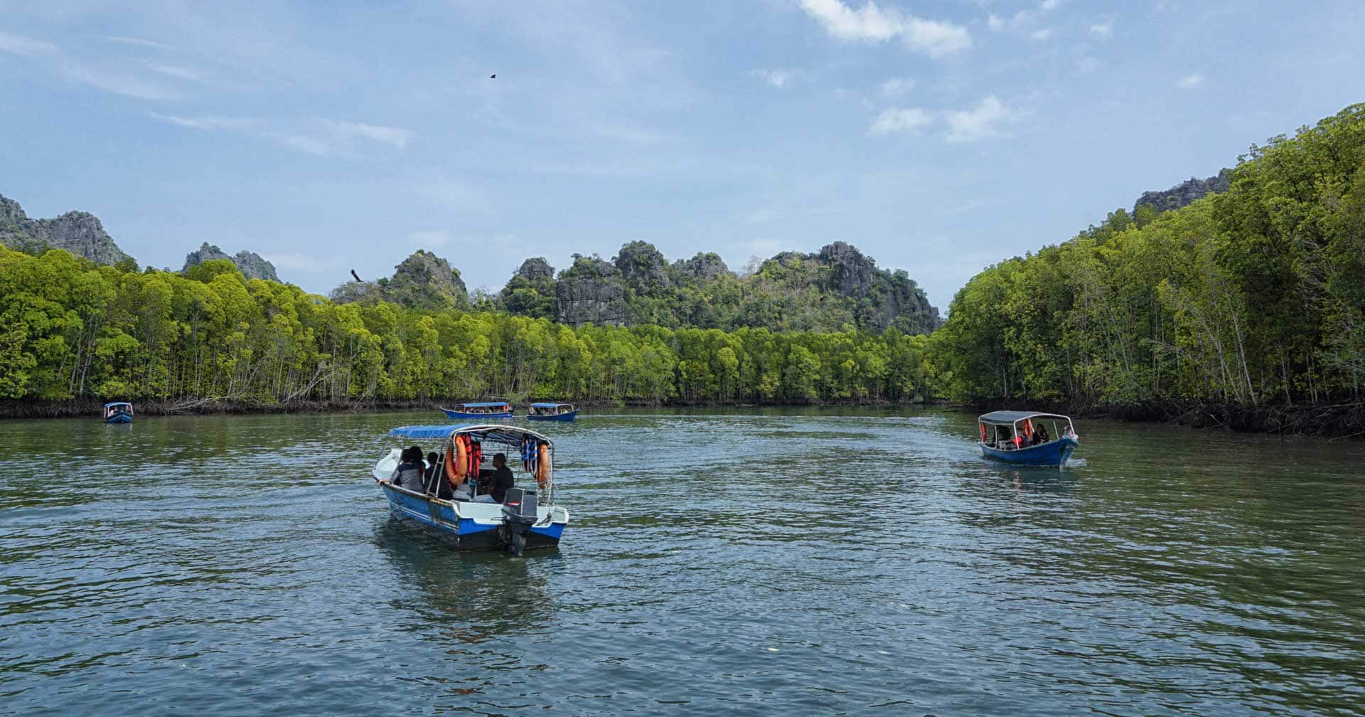 Aventura en caverna y manglares