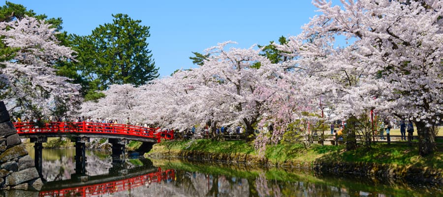 Resultado de imagen de Parque Hirosaki