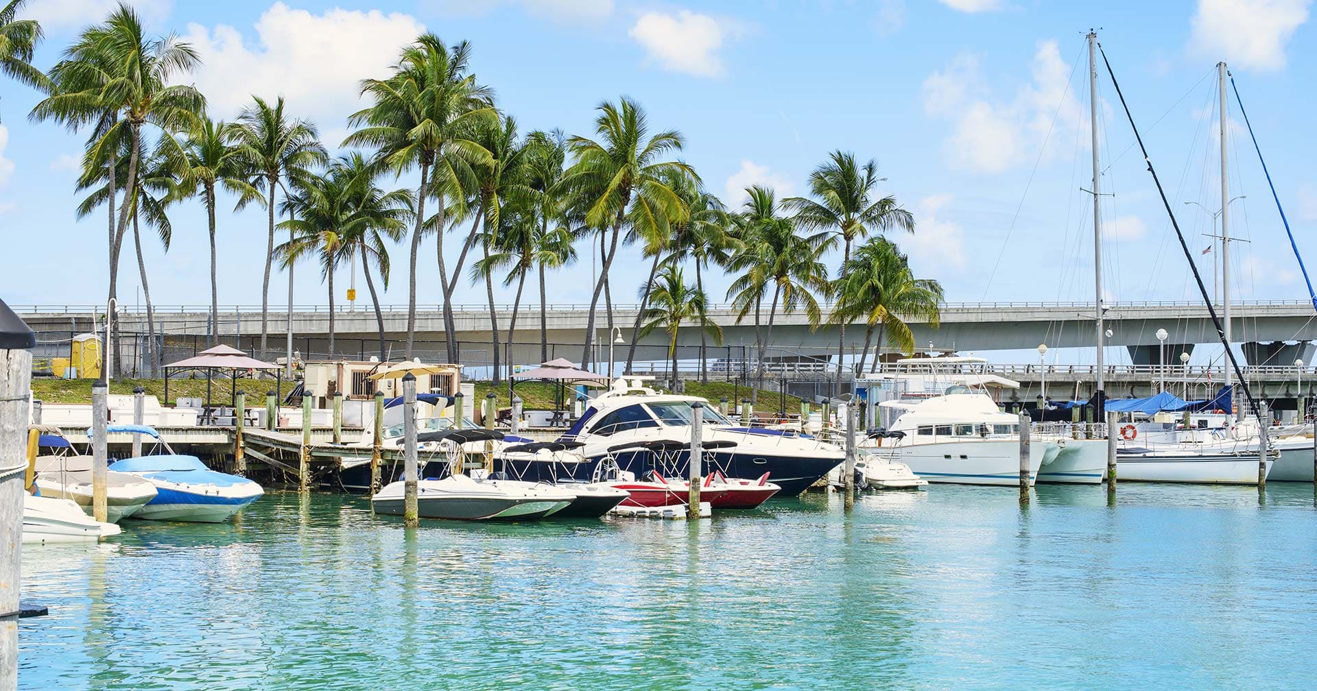 Miami a tu aire - Termina en el aeropuerto de Miami 