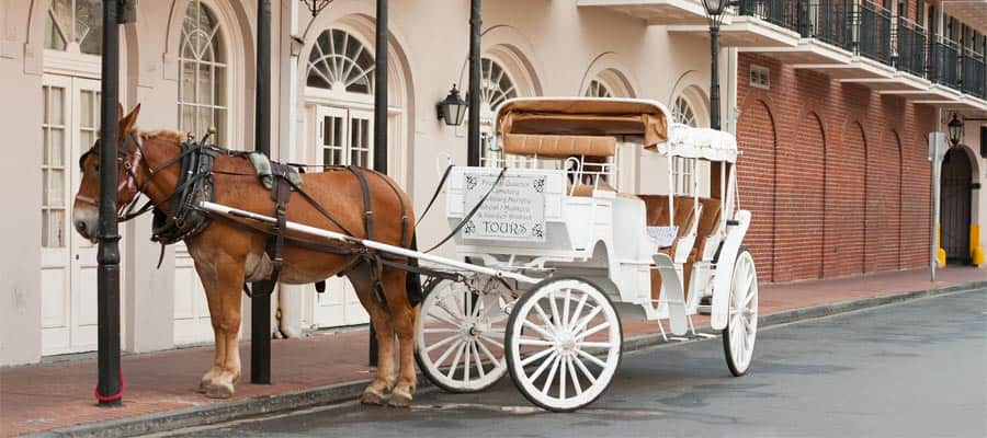 Pasea en un carruaje tirado por caballos en tu crucero en Nueva Orleans