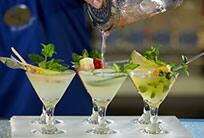 Mojito Bar Bares y salones