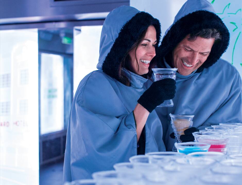 Bar de hielo Skyy® Vodka