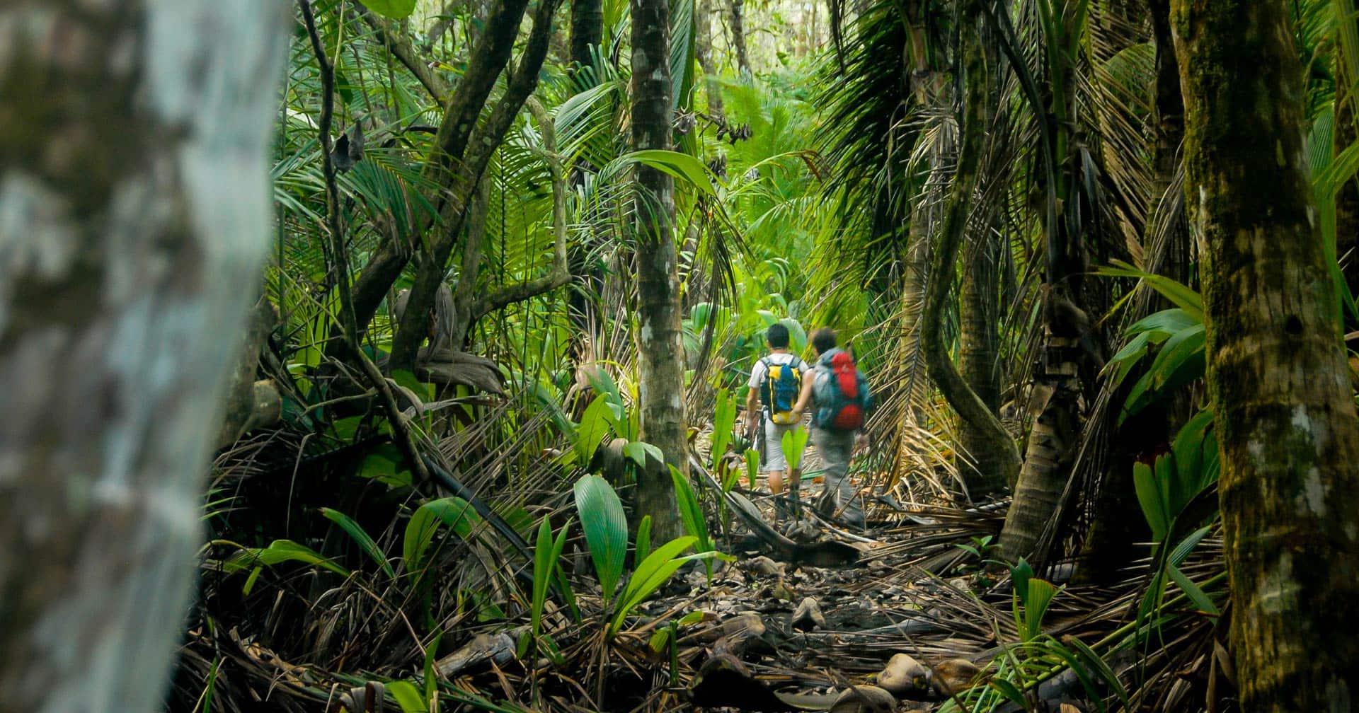 Teleférico, crucero por el río y almuerzo