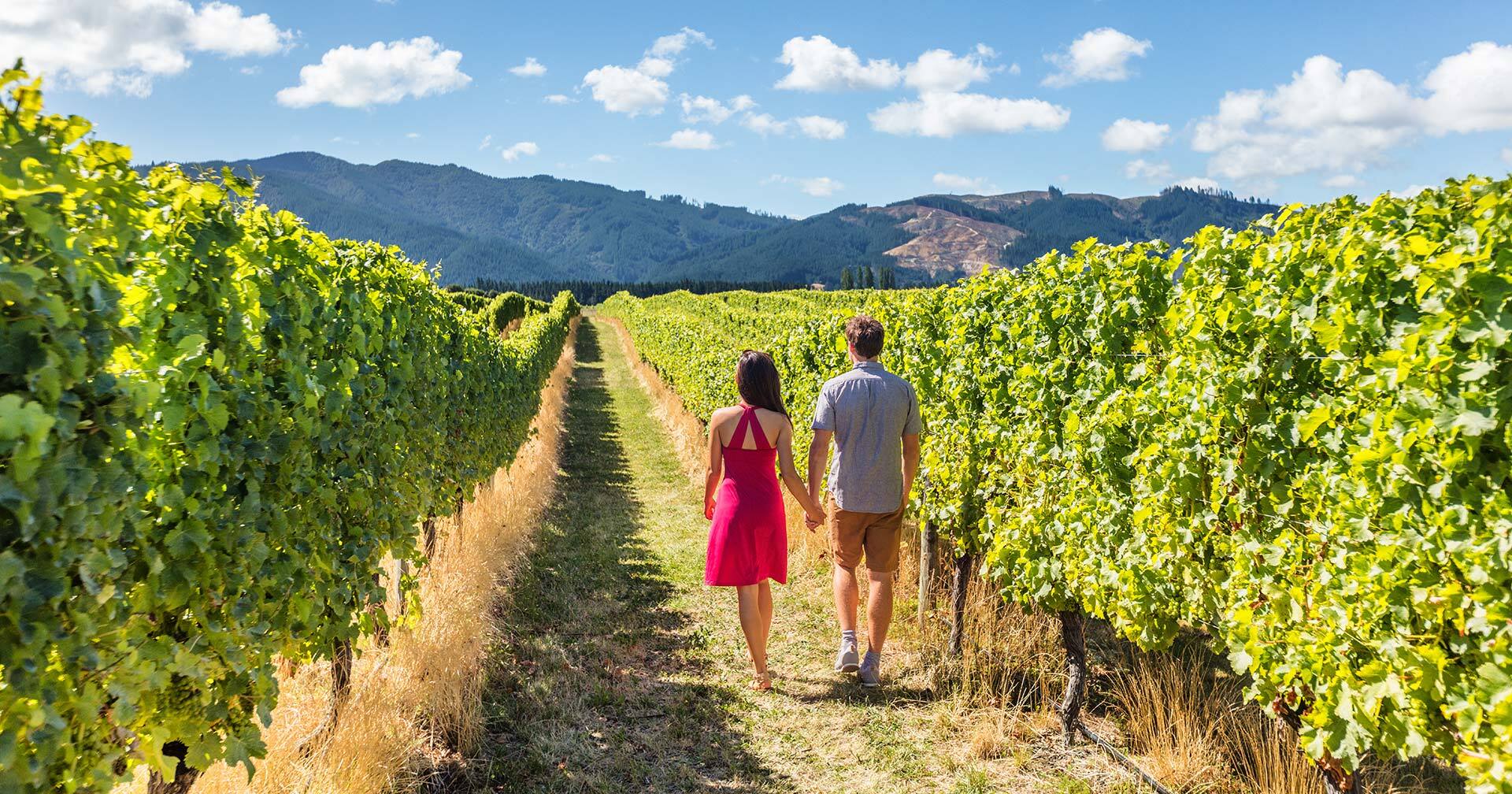 Vinos emblemáticos de Marlborough