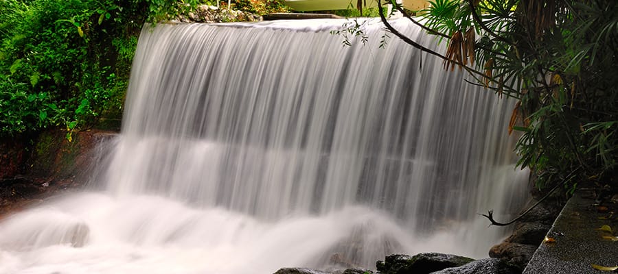 Visita la cascada del Jardín Botánico de Penang en tu crucero a Penang