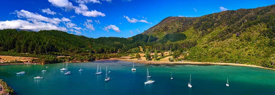 /sites/default/files/Picton-New-Zealand-shutterstock_313617830-MW-920x320.jpg