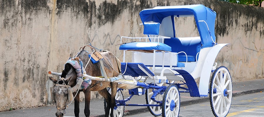 Carruaje tradicional tirado por caballos en un crucero a Santo Domingo