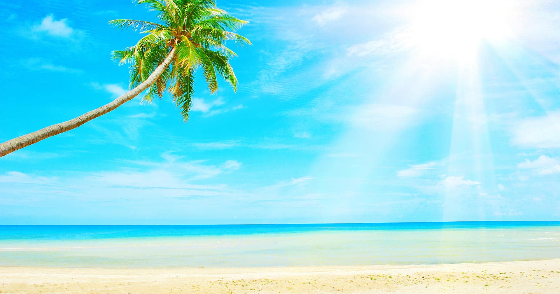 Día en resort en la playa, paseo panorámico y almuerzo