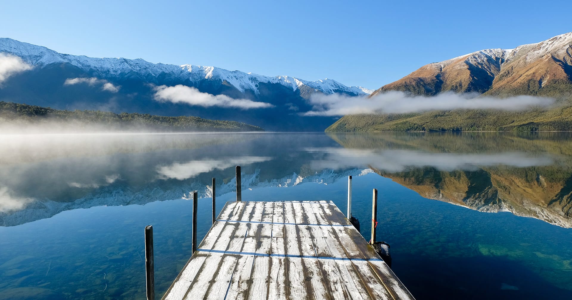 Ecología - Lago Rotoiti, vida silvestre y canales 