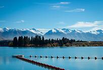 Lake Pukaki and Southern Alps